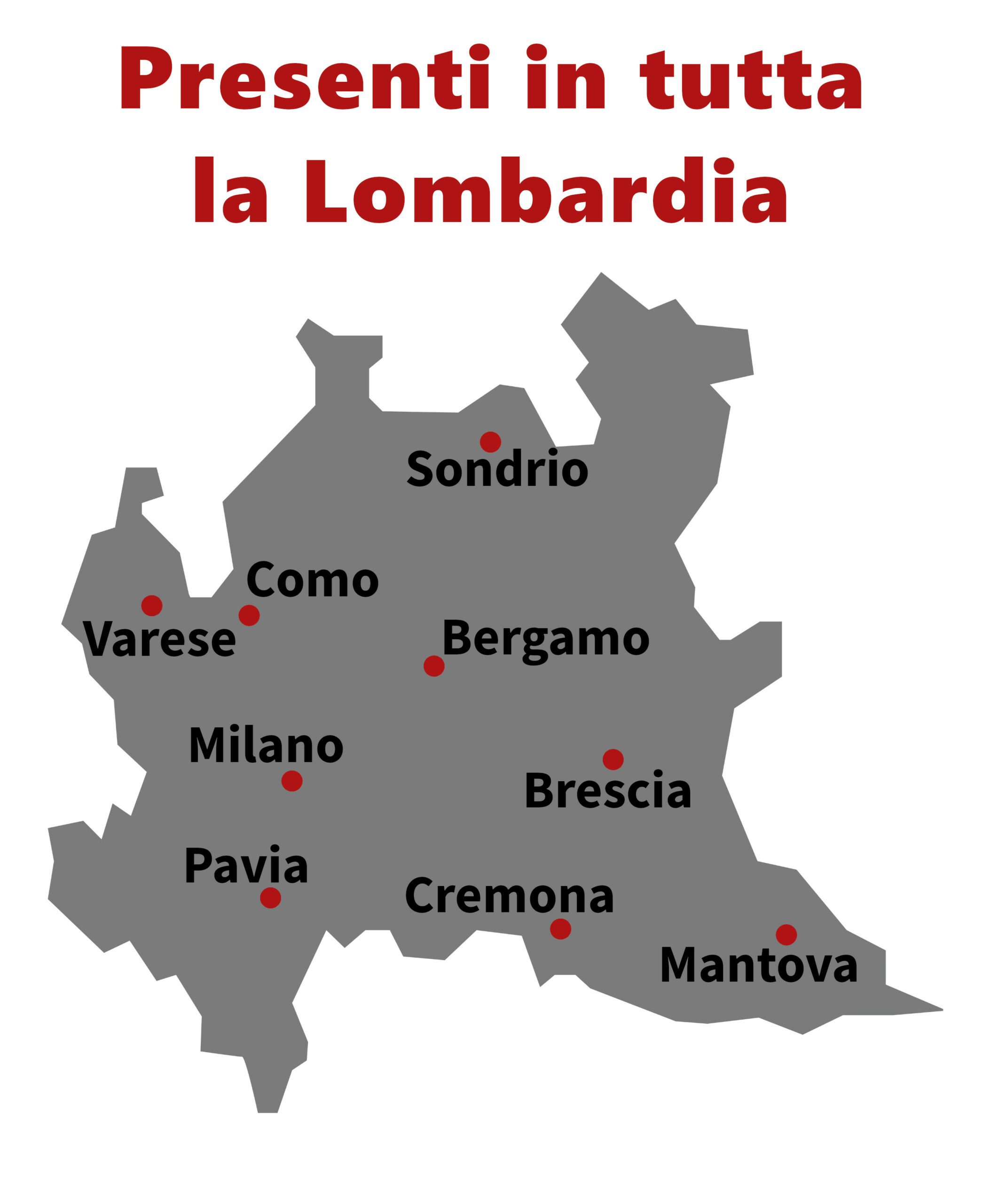 Montascale in Lombardia